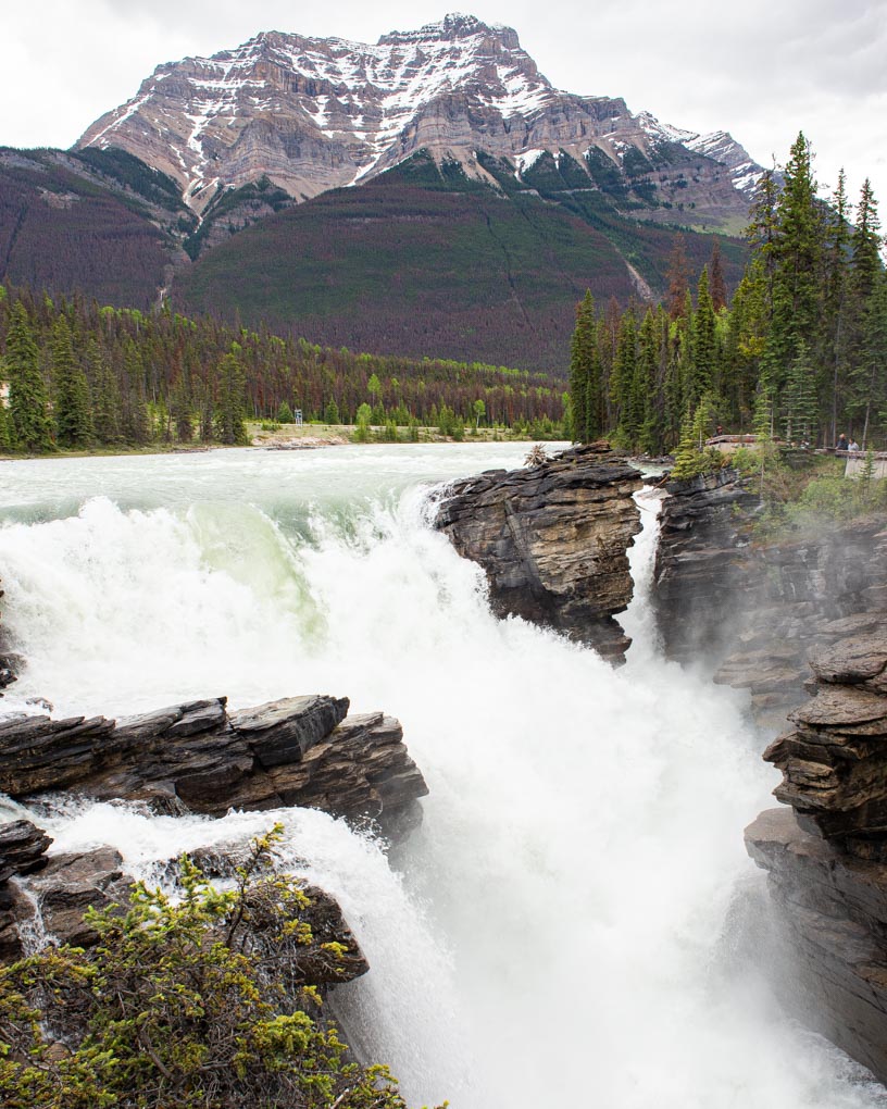 The famous Athabasca Falls on the Icefields Parkway on a gloomy day in Canada