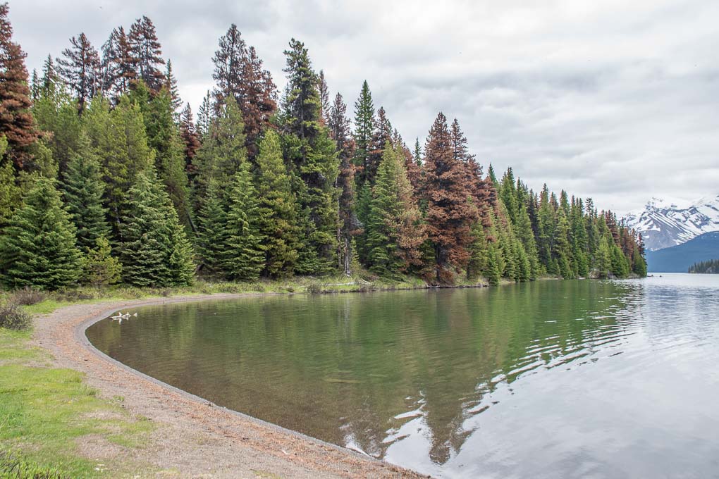 Views of Maligne lake on the Marry Shaffer Loop on Maligne Lake in Jasper National Park
