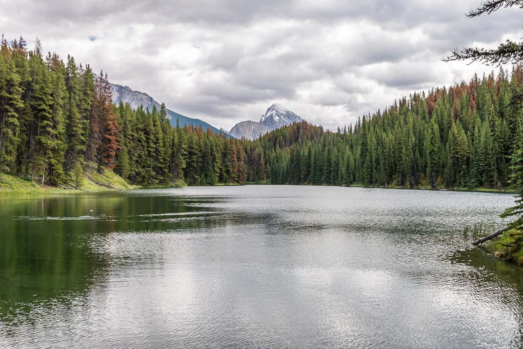 Views of Moose Lake from the Moose Lake Loop!