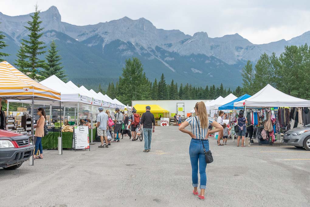 Bailey walks the Canmore Mountain Market