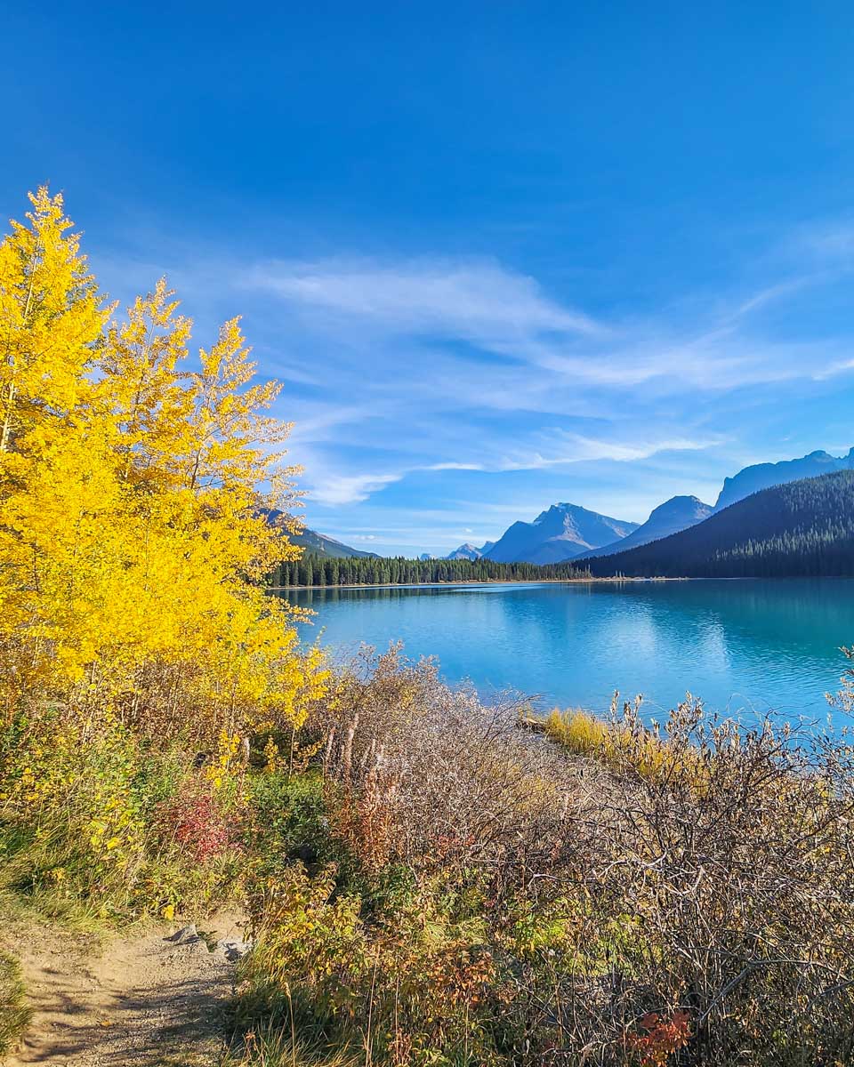 The view from Waterfowl Lakes Viewpoint of Waterfowl Lakes on the Icefields Parkway