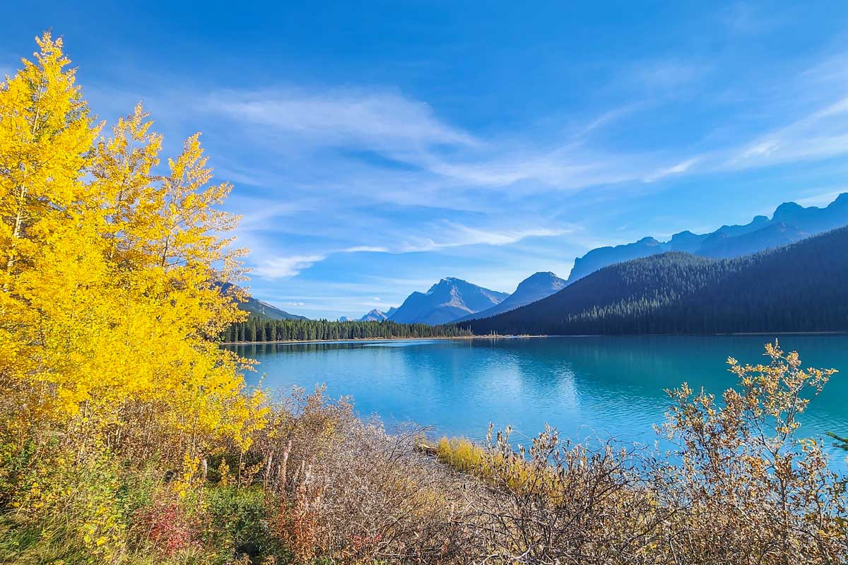 Waterfowl Lakes Viewpoint