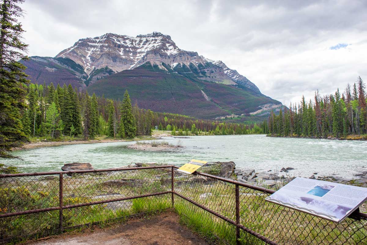 Entrance to Athabasca Falls