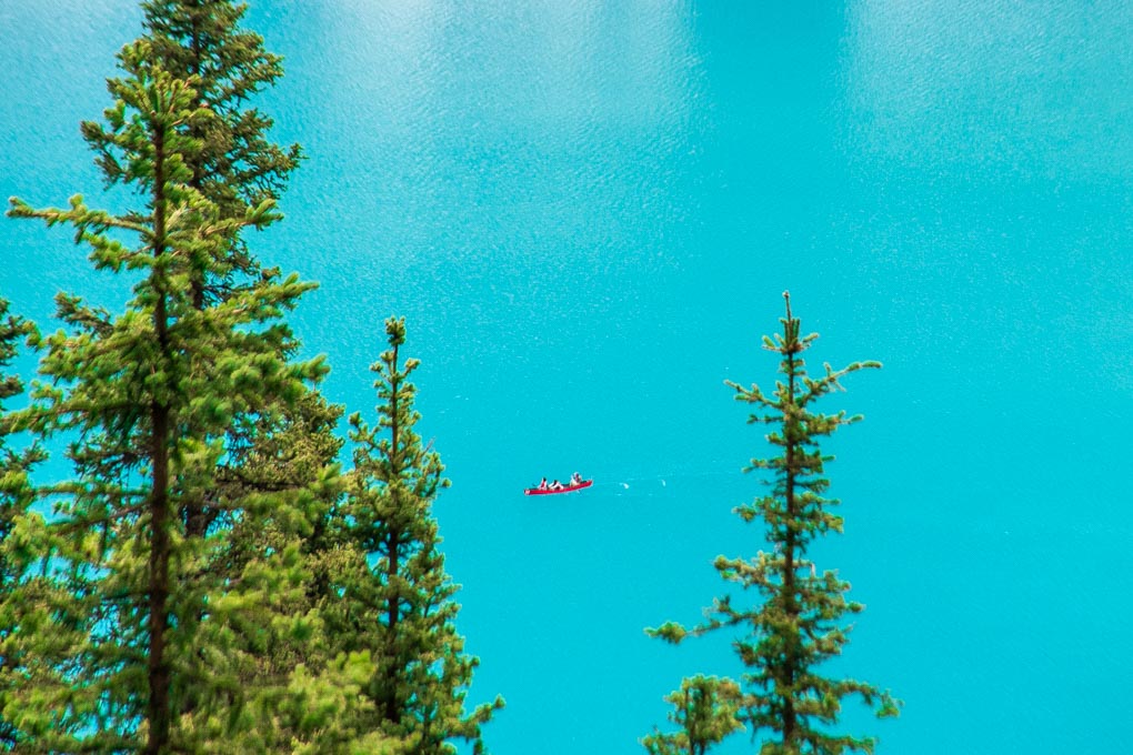 Looking down at a canoe on Lake Louise from the Lake Agnes Tea House Hike