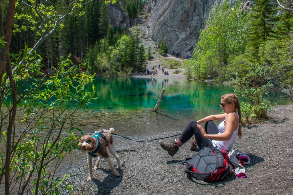 A lady gets soaked by a dog shaking off at Grassi Lakes after swimming