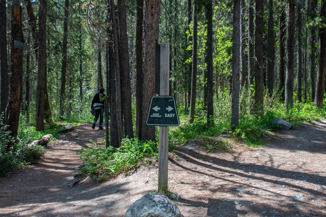 The sign on the Grassi Lakes trail showing the two different hiking trails
