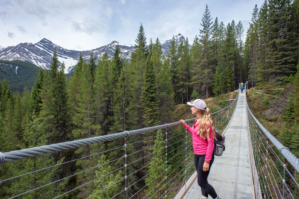 Blackshale Creek Suspension Bridge