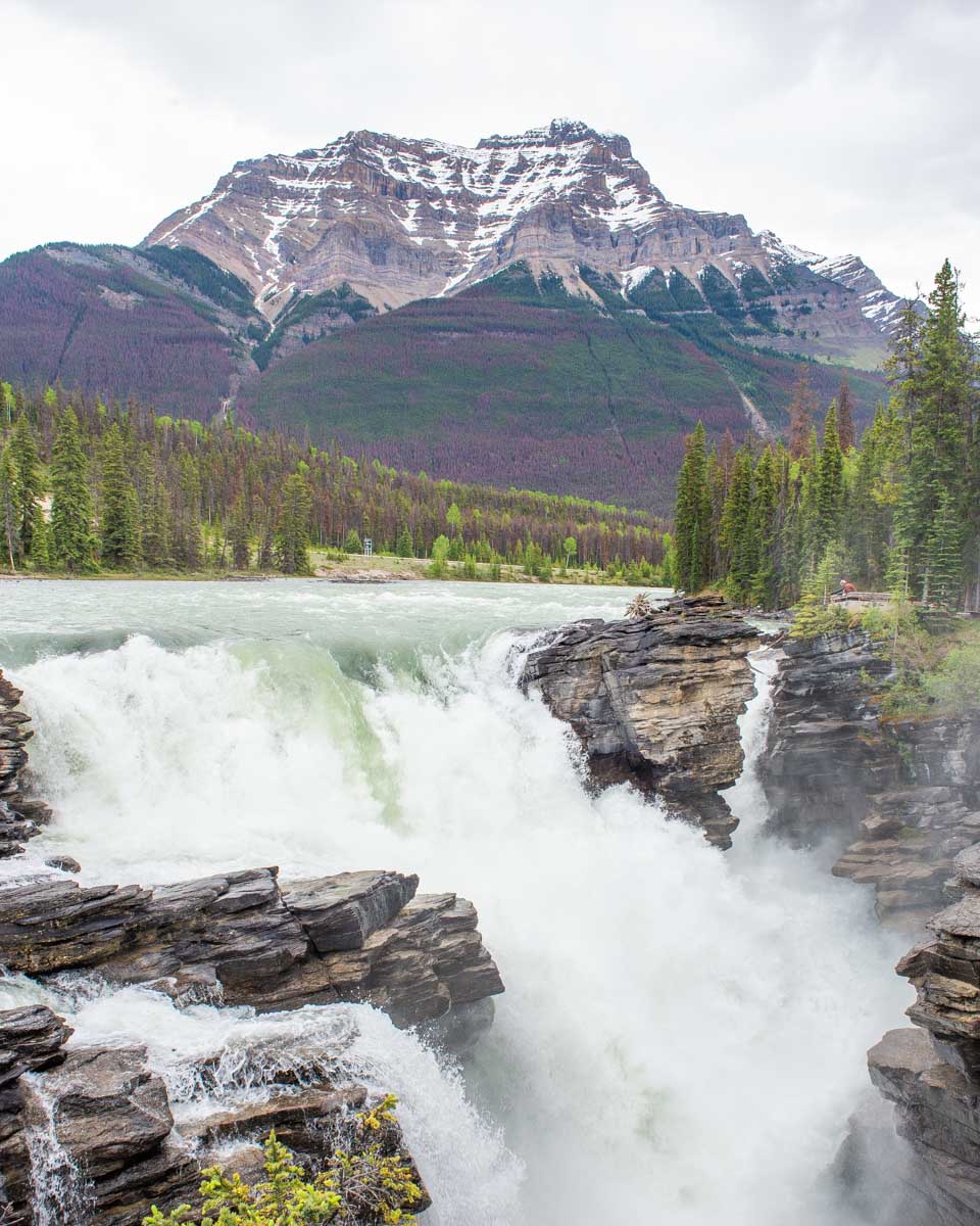 Mountain backdrop at Athabasca Falls, Jasper