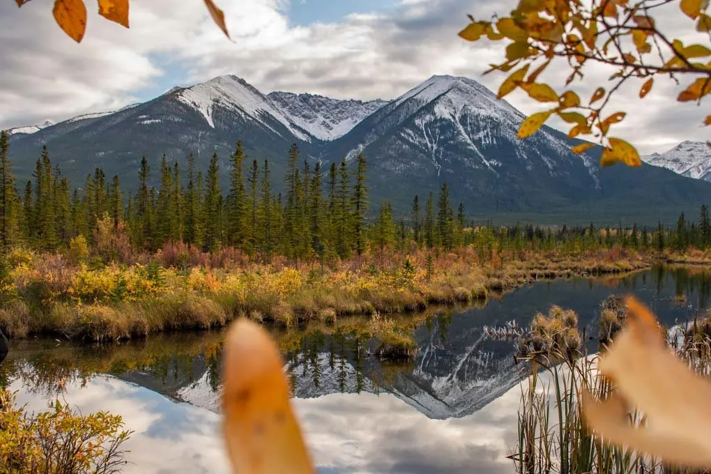 Reflections at Vermilion Lakes during fall in Banff
