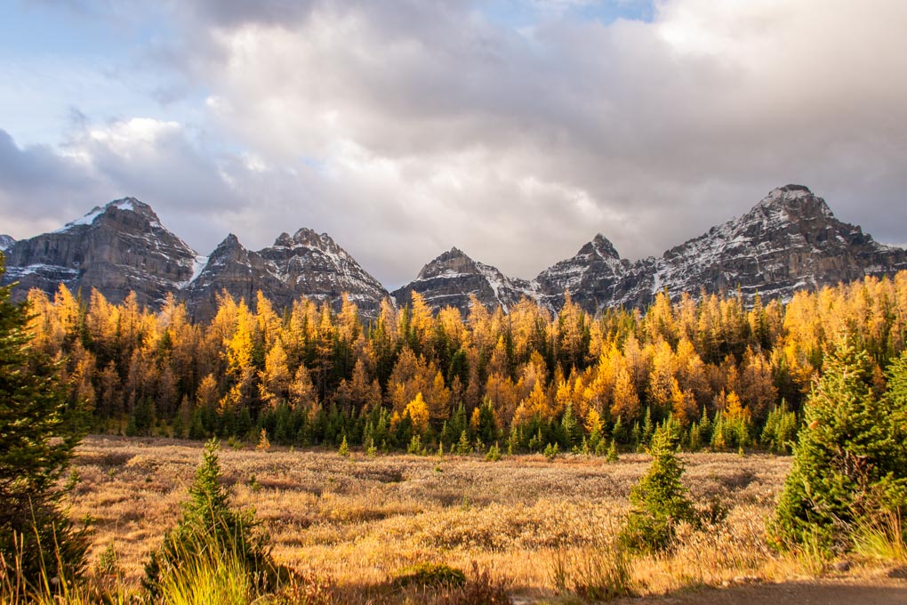 The Ten Peaks on the Larch valley Hike at Sunrise in Banff National Park