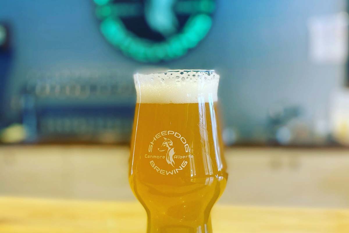 Sheepdog Brewing, Canmore