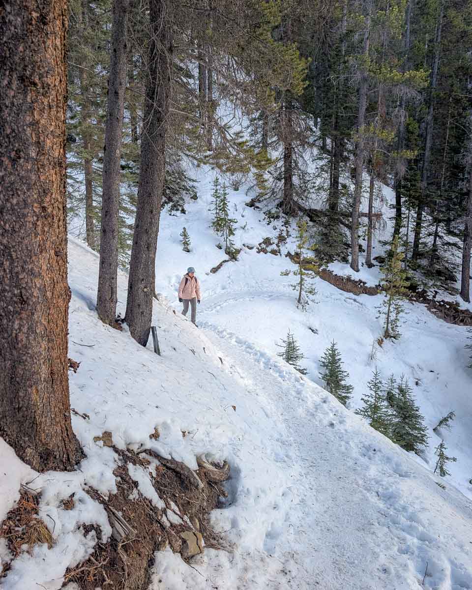 The Ha Ling trail hike in Canada near Canmore (2)