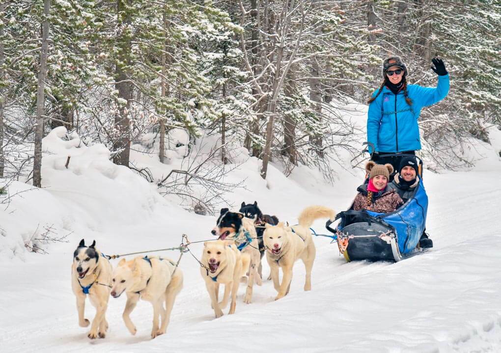 two people are pulled in a dog sled near Canmore, Alberta