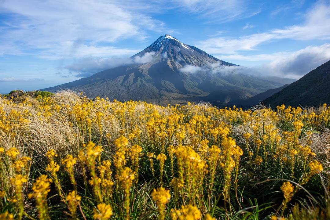 View of Mt Taranaki from near the Pouakiai Hut