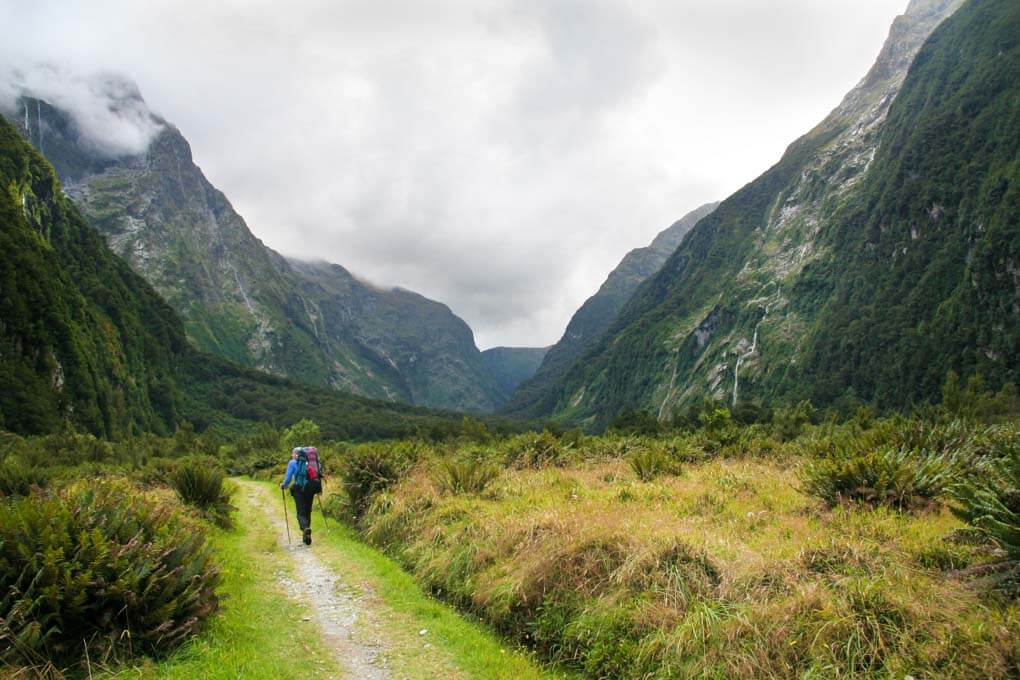 A hiker walks the Milford Sound Track