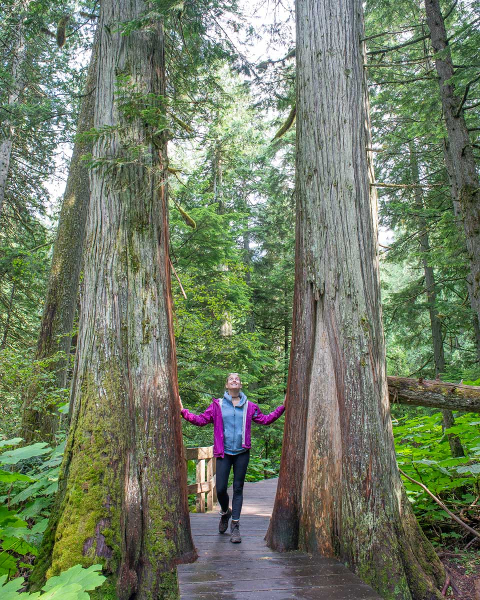 Bailey smiles between trees on Hemlock Grove Boardwalk in Glacier National Park