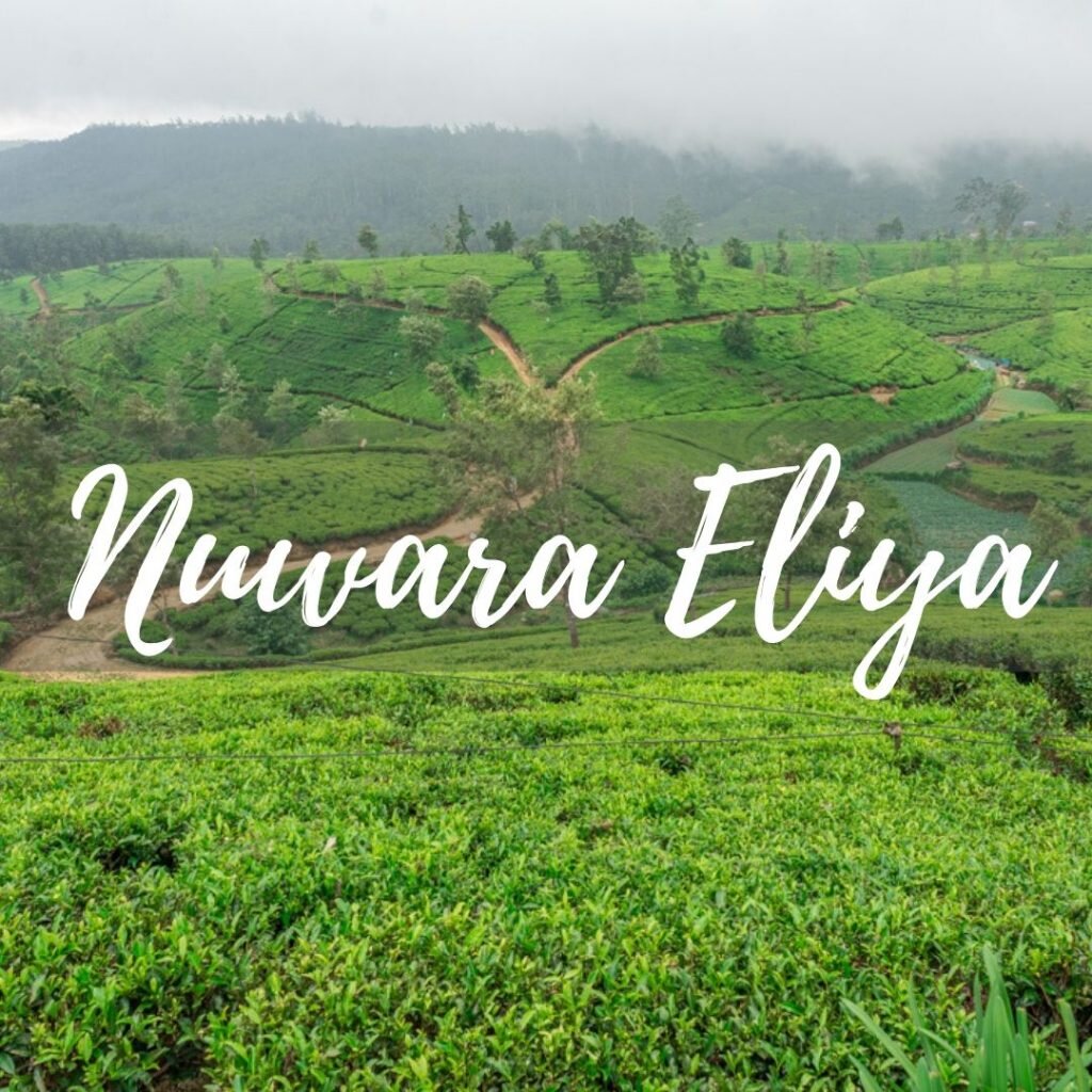 nuwara eliya