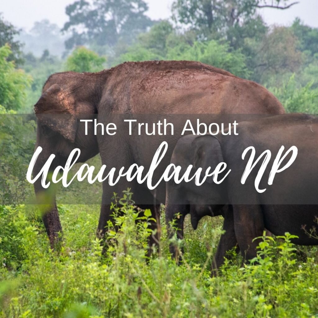 Udawalawe National Park
