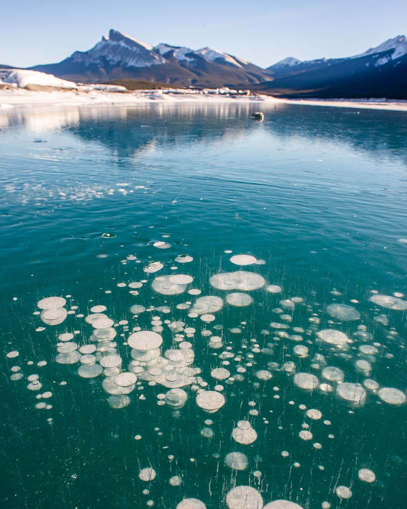 Ice bubbles at Abraham Lake