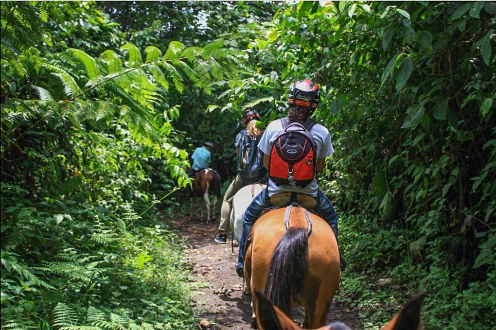 Arenal Wilberth Stables tour through Arenal National Park