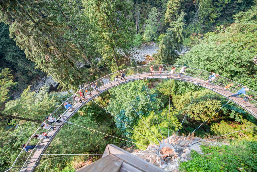 Views of the treetop walk at the Capilano Suspension Bridge in Vancouver, BC