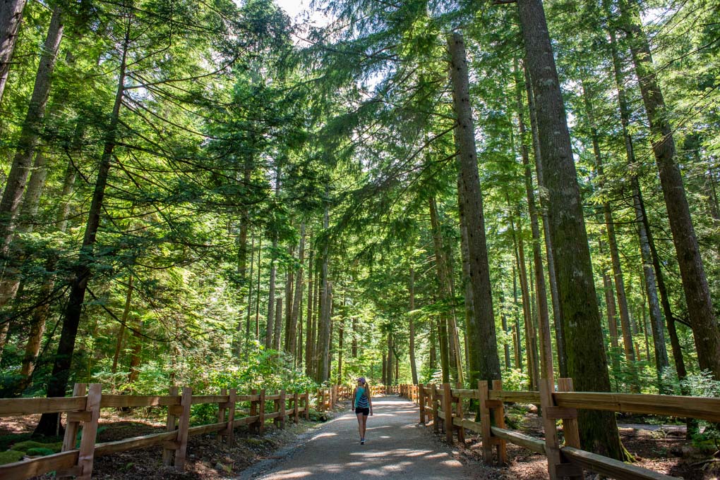 A lady hikes through the forest in Vancouver, BC