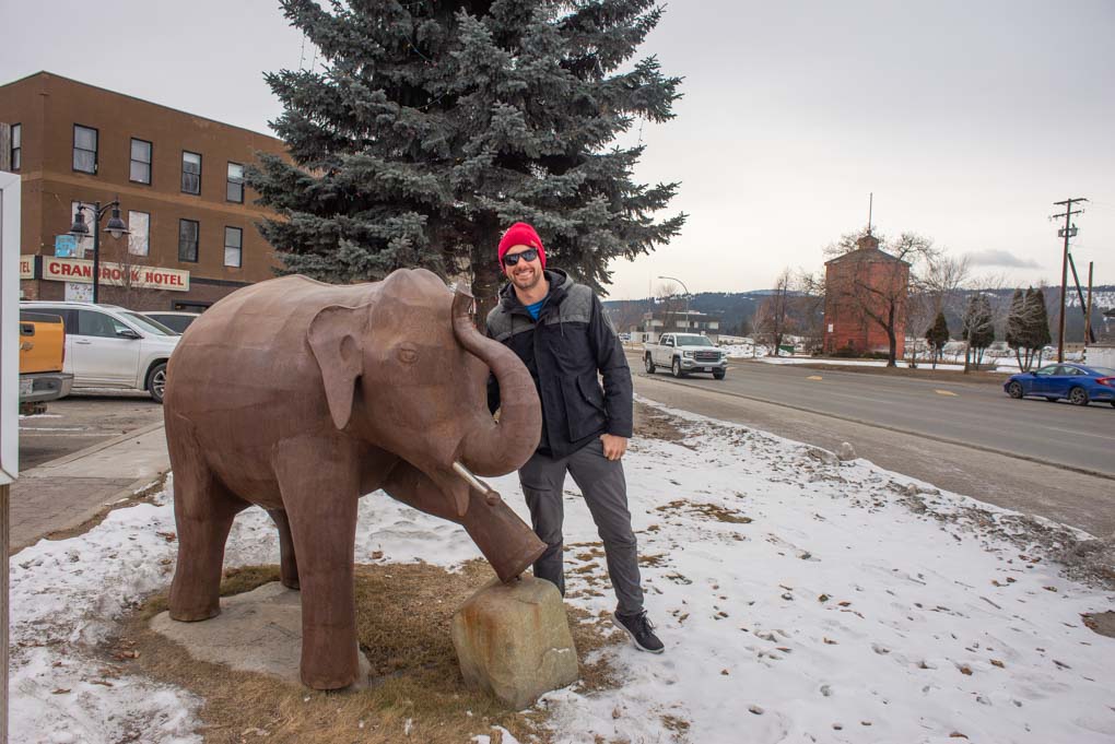 Daniel stands beside the elephant statue in Cranbrook