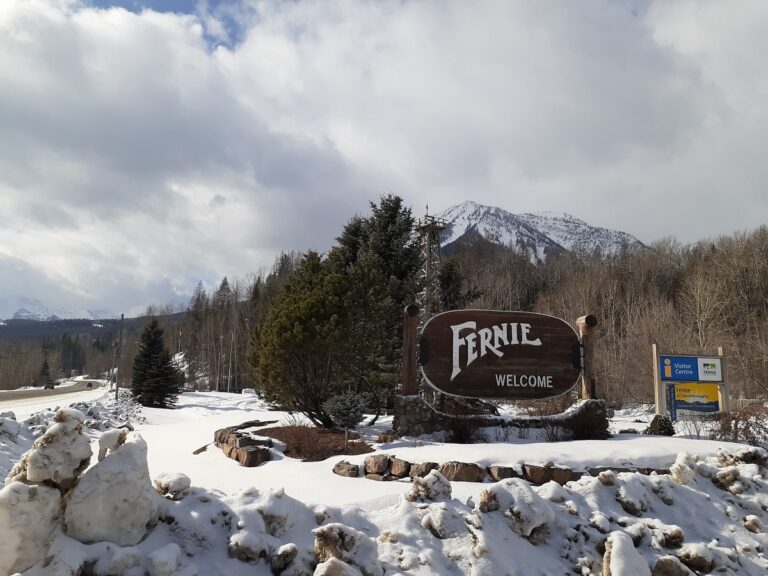 welcome to fernie sign