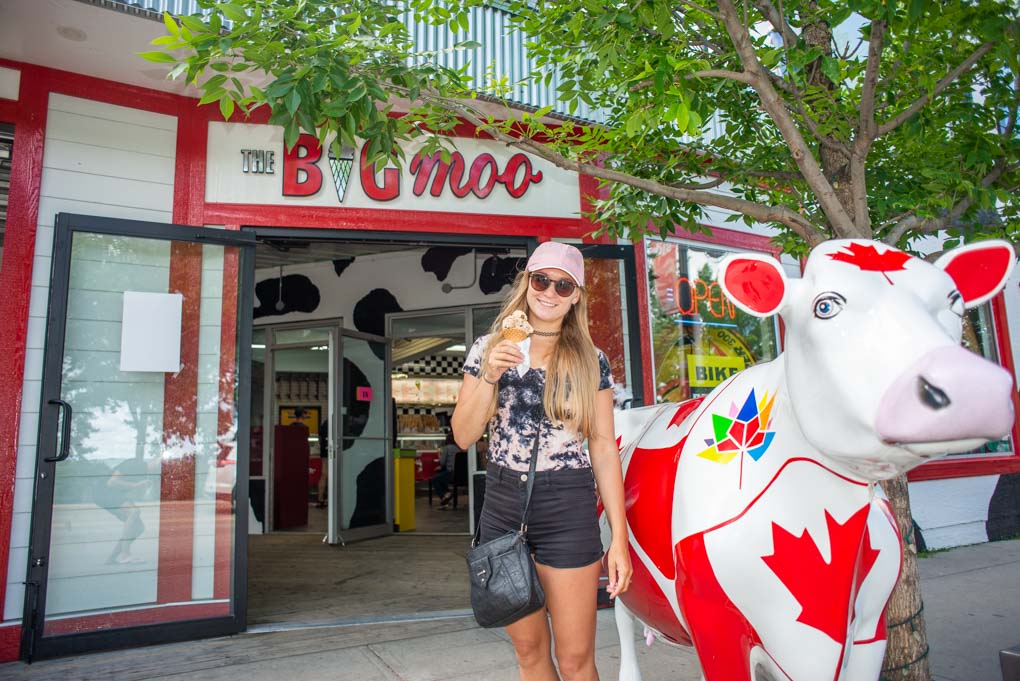 the cow at Big Moos in Sylvan Lake