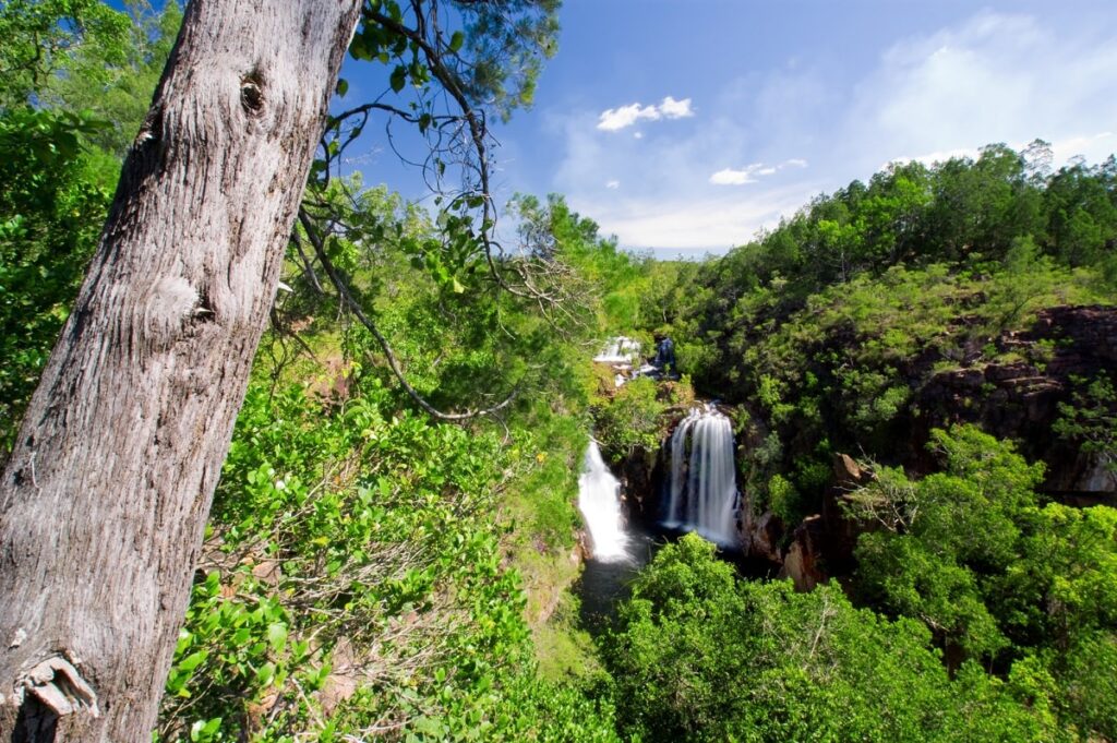 the viewpoint above Florence Falls in Litchfield National Park