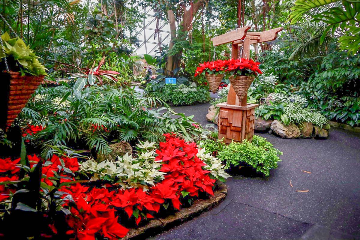 The gardens at the Bloedel Conservatory