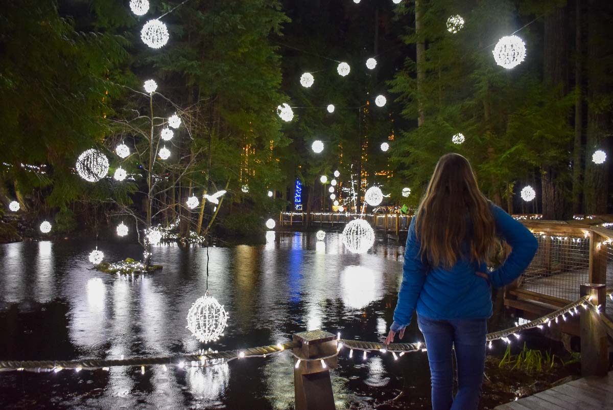 Some of the lights at the Capilano Suspension Bridge in Vancouver during winter