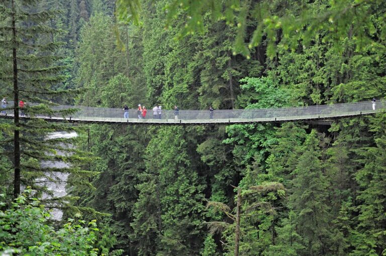 Capilano Suspension Bridge