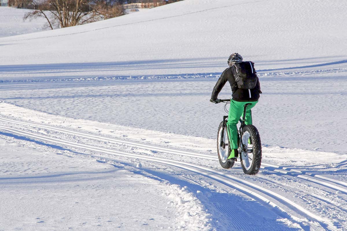 Fat biking in Calgary