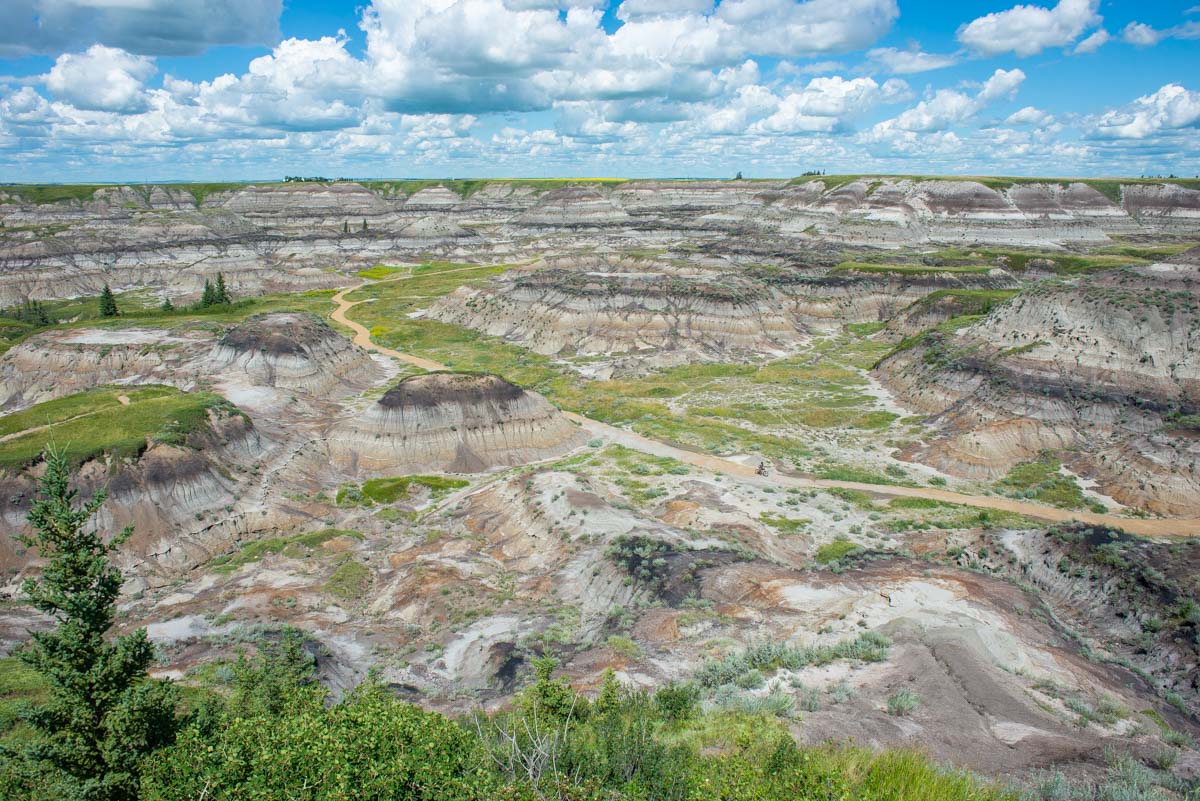 A view of Horseshoe Canyon, Drumheller