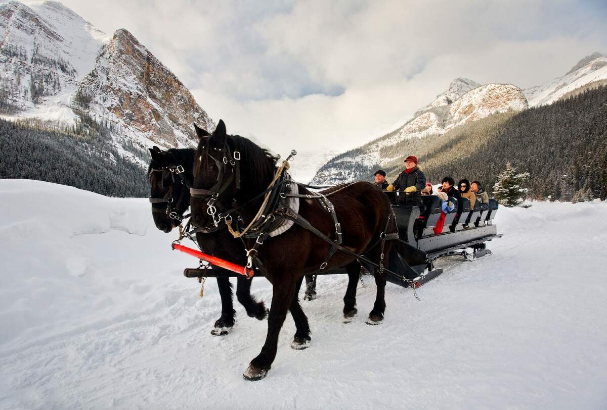 two black horses pull a sleigh through the now with mountains in the background