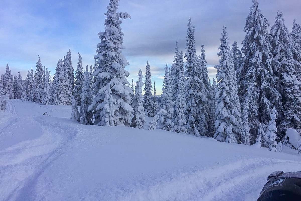 Snowmobiling in Valemount, BC