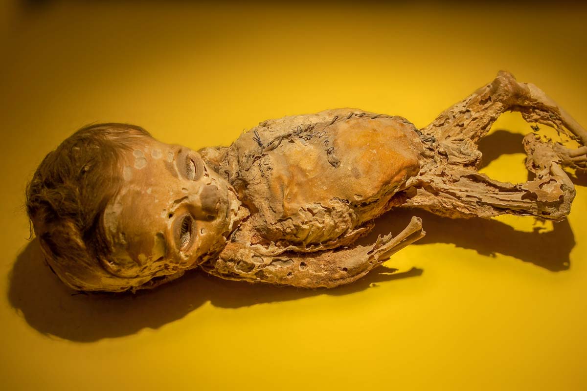 A mummy at the Mummy Museum in Guanajuato