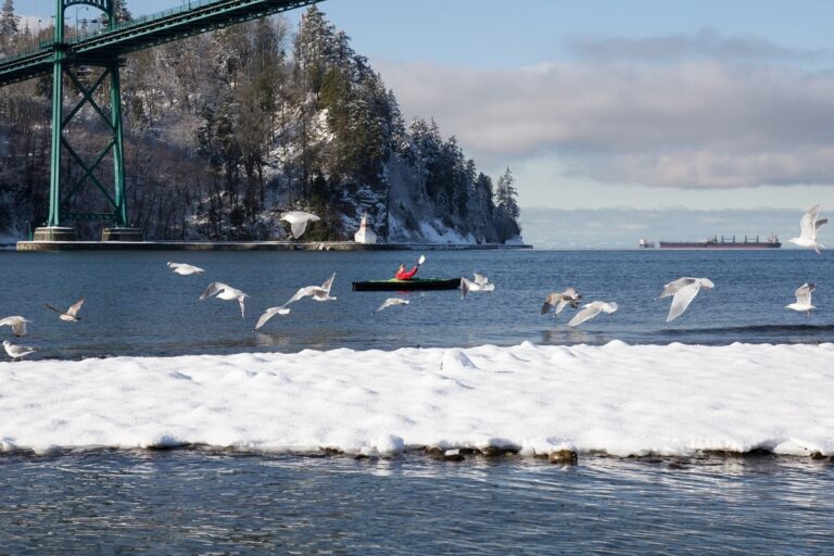 snowy day on the Fraser River in Vancouver in December