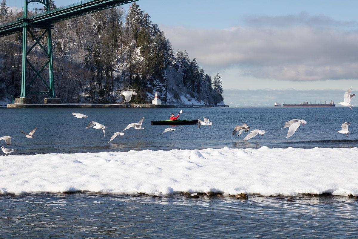 snowy day on the Fraser River in Vancouver in December