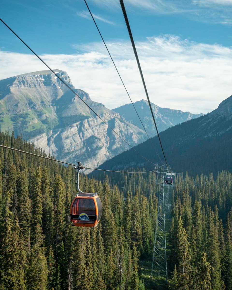 Banff Sunshin Gondola travels over pine trees