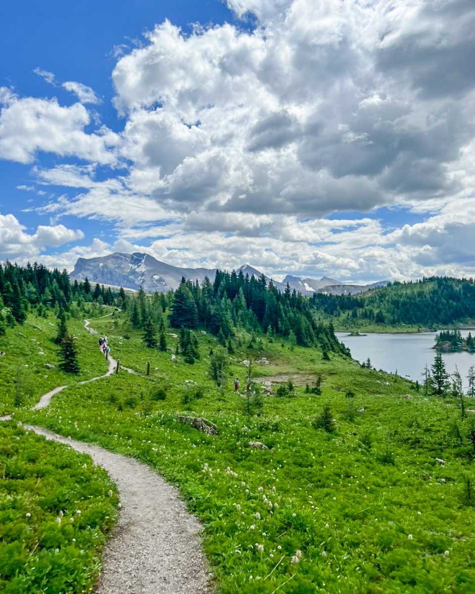 Banff Sunshine Gondola hiking trail