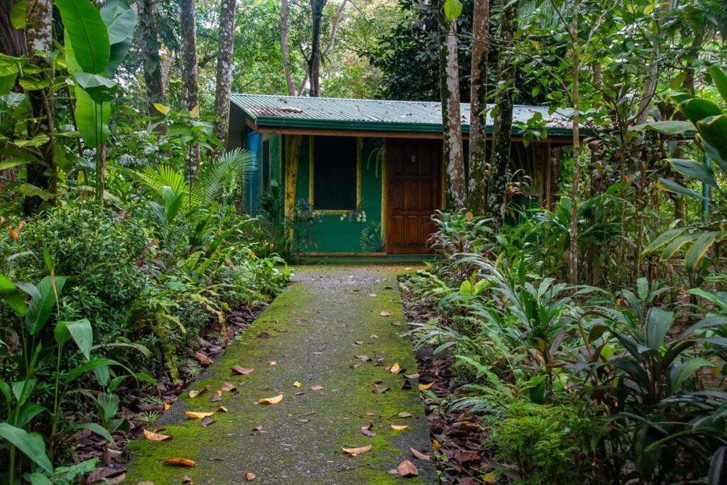 One of the cabins at Chosa Manglar Nature Hotel