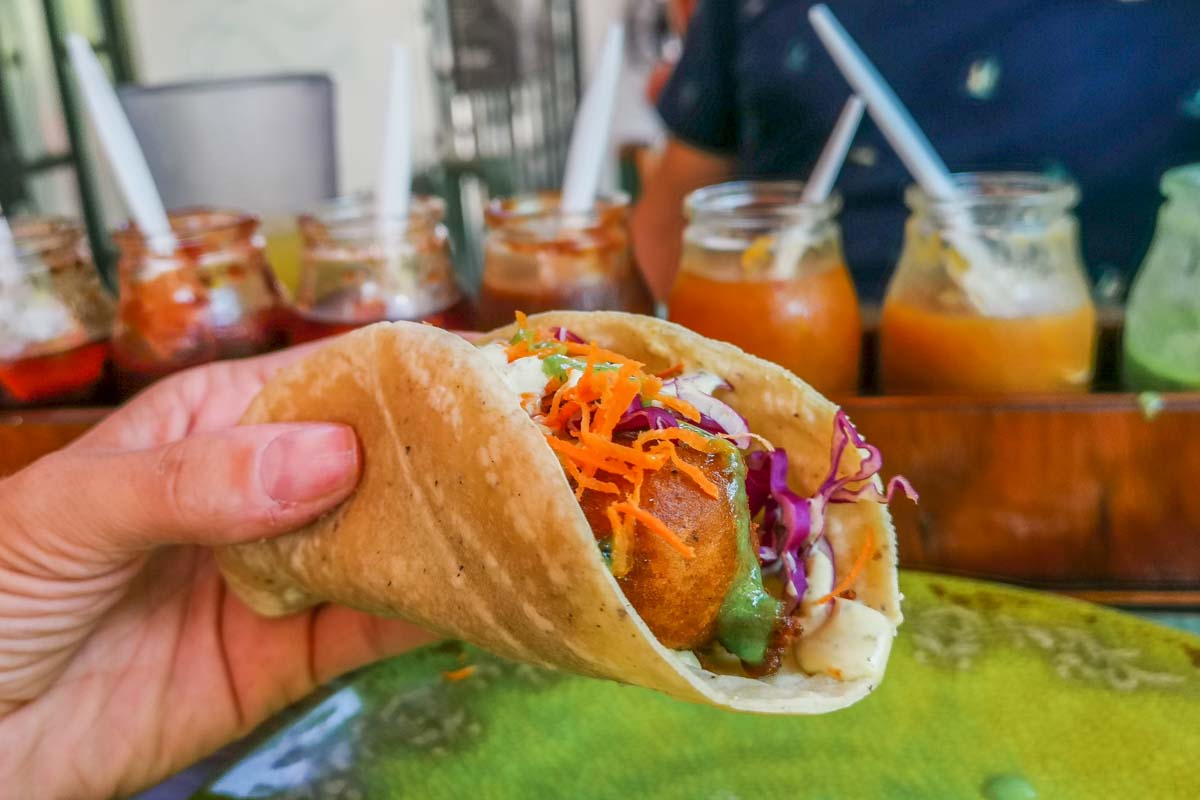A Baja style fish taco on a tour around Puerto Vallrta