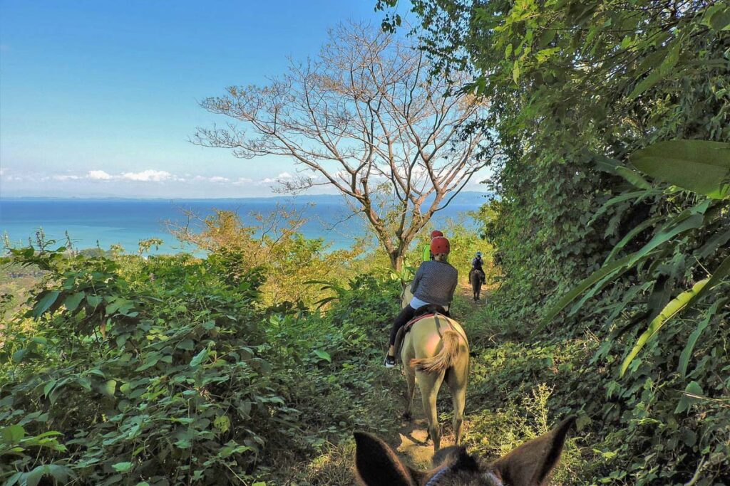 Horseback riding at Rancho Tropical, Puerto jimenez