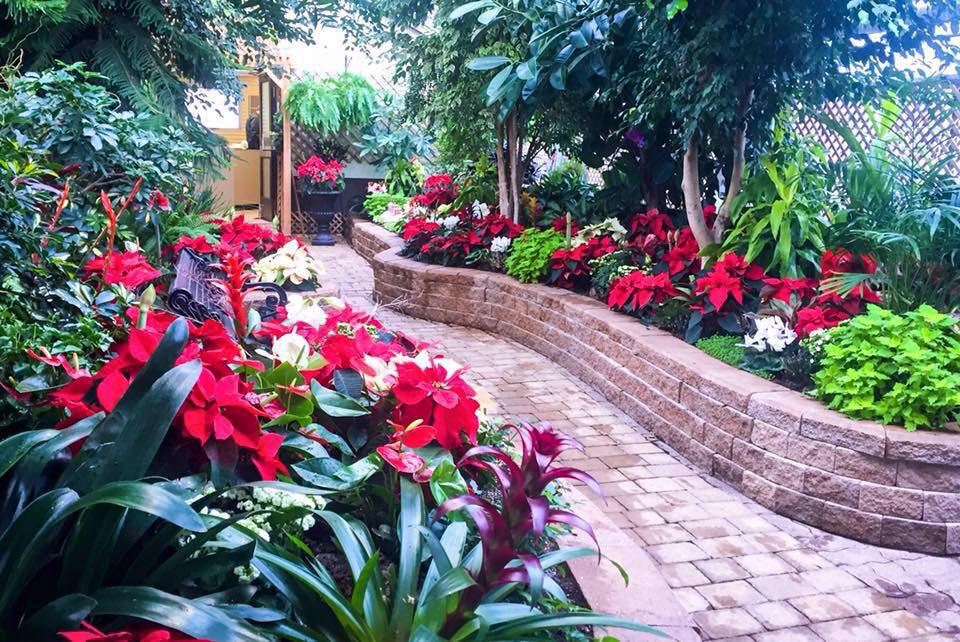 Path in Regina Floral Conservatory