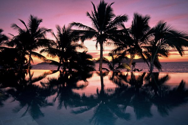 Tokoriki Island Resort sunset with palm trees and an infinity pool.