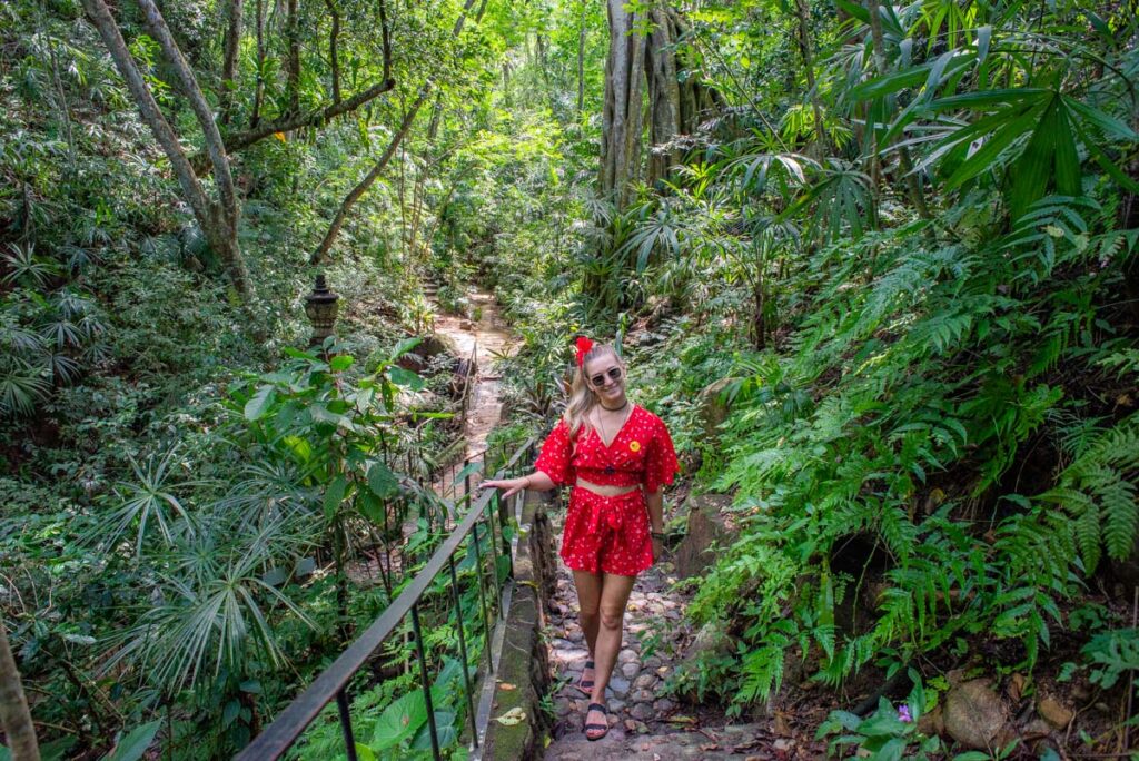 The Vallarta Botanical Gardens