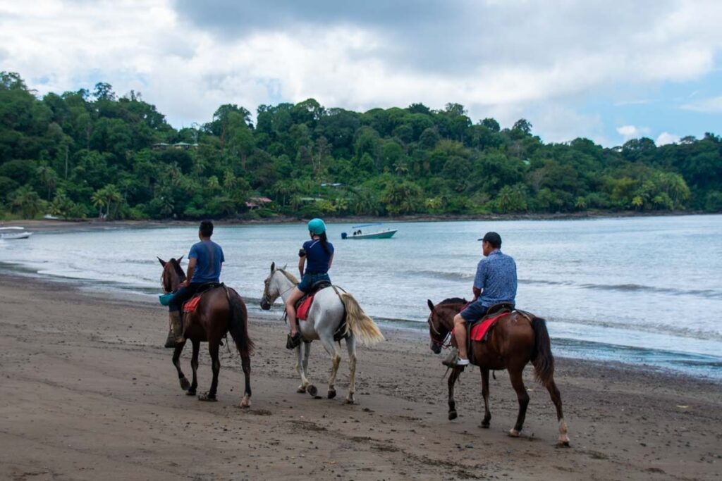 Horseback riding in Drake Bay