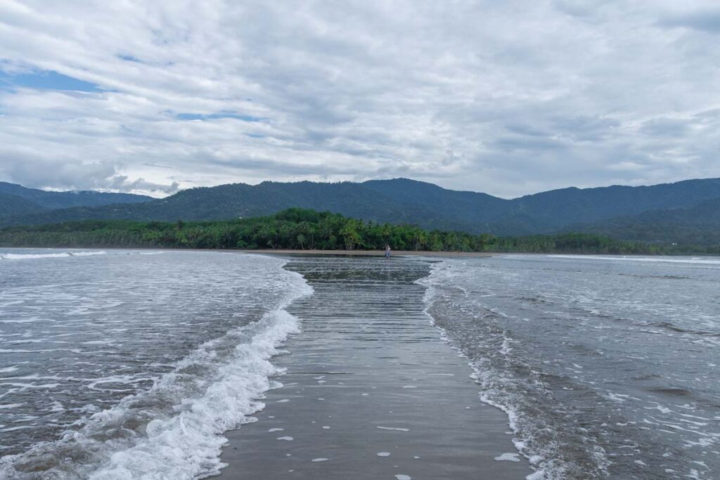 Marino Ballena National Park whales tail